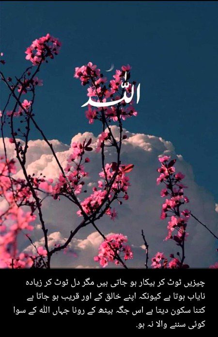 Islamic Quotes image