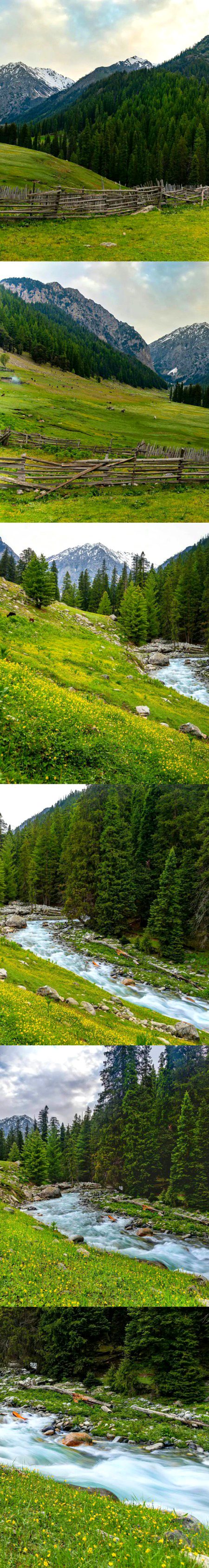 Beautiful Nature image