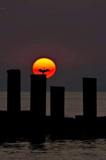 Beautiful Nature image