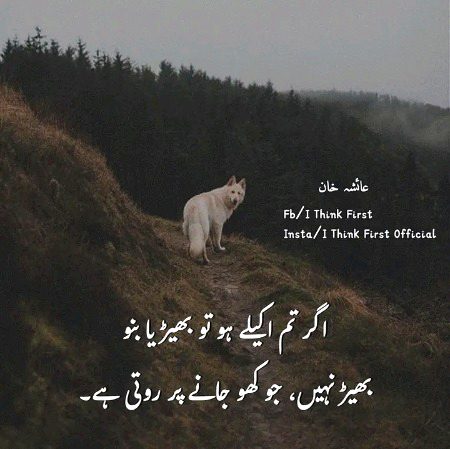 ;;:'"*