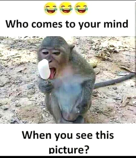 Memes & Satire image