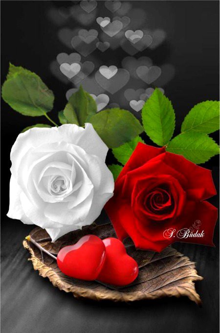 Beautiful Nature image