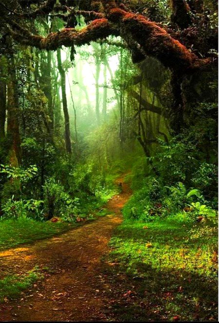 Beautiful Nature image