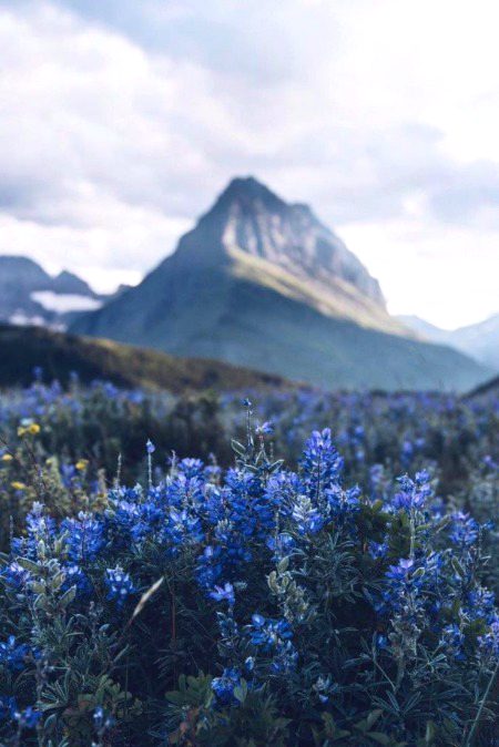 Beautiful Nature image