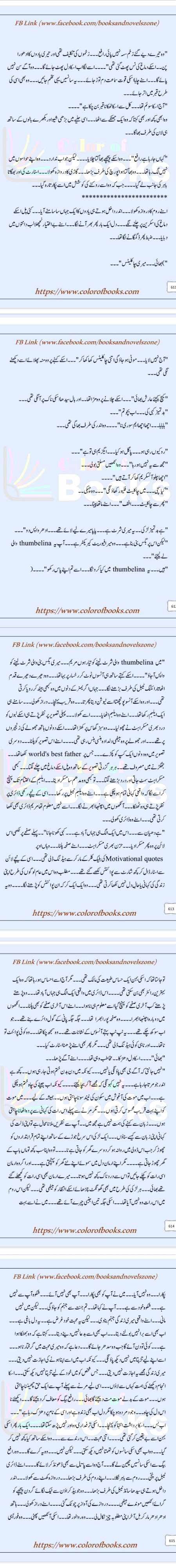 Romantic Novels image