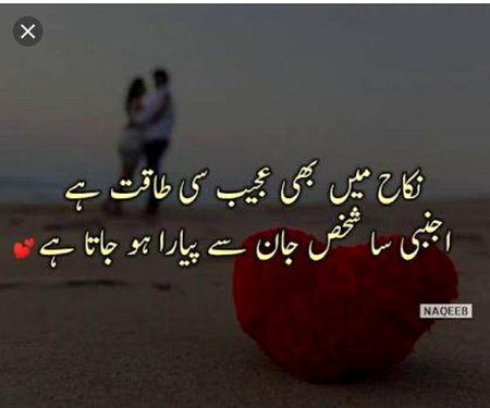 Bilkul...💯❤