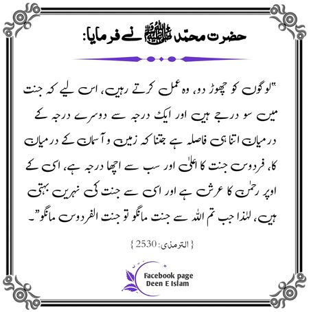 Islamic Quotes image