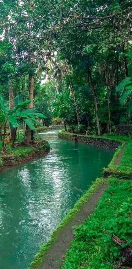 Beautiful Nature image