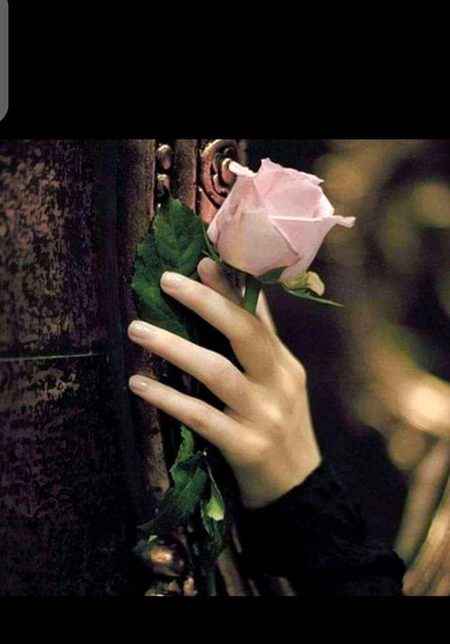 Beautiful Nature image