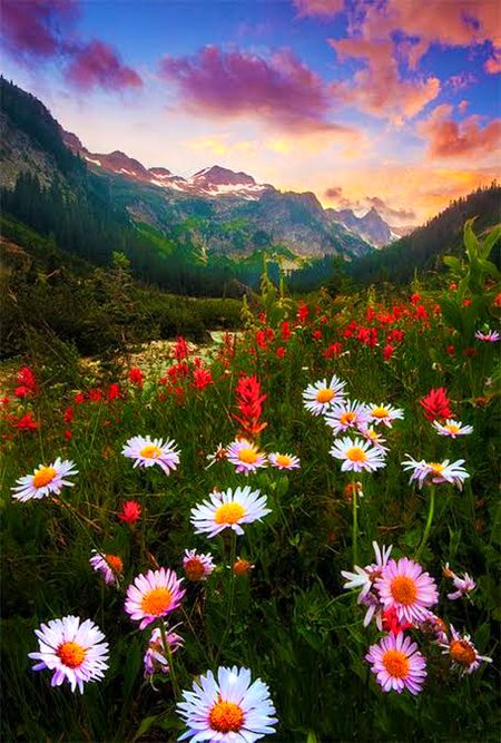 Beautiful Nature image
