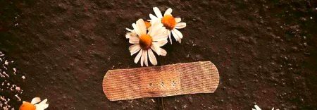 Beautiful Nature image