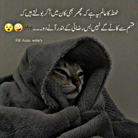 Jokes image