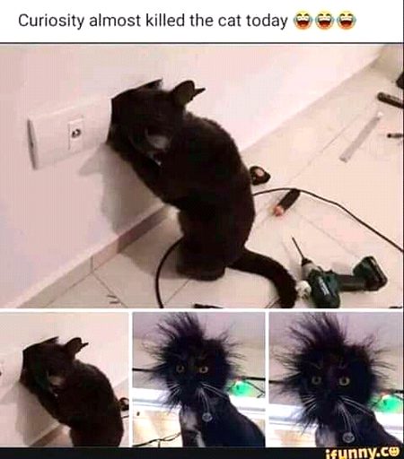 Ary...