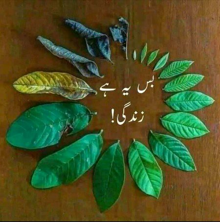 ALLAH ham sab ko neki ki hadayat dy or sidhy rasty par chalaye