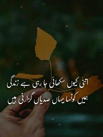 DAmadam.pk