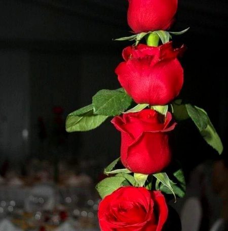 Someone special 🥰4u