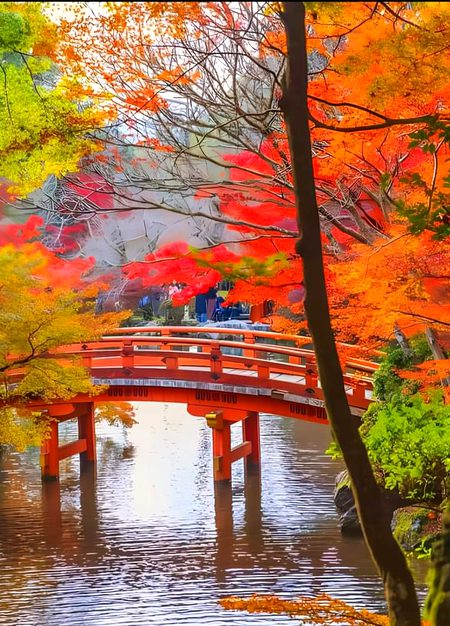 Beautiful Nature image