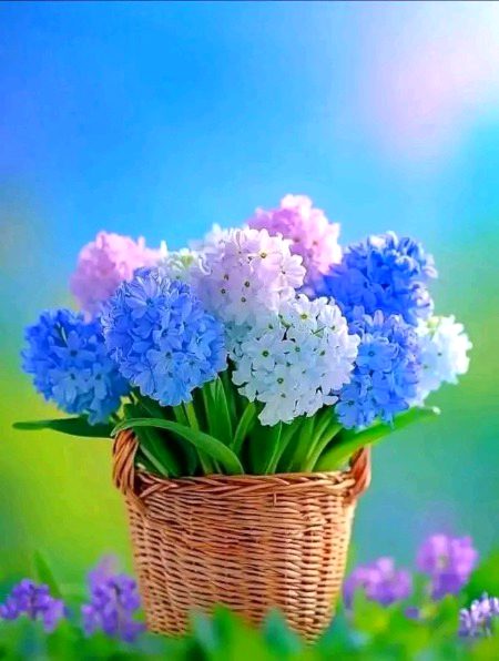 Beautiful Nature image