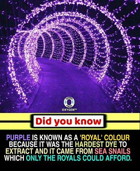 Interesting Posts image