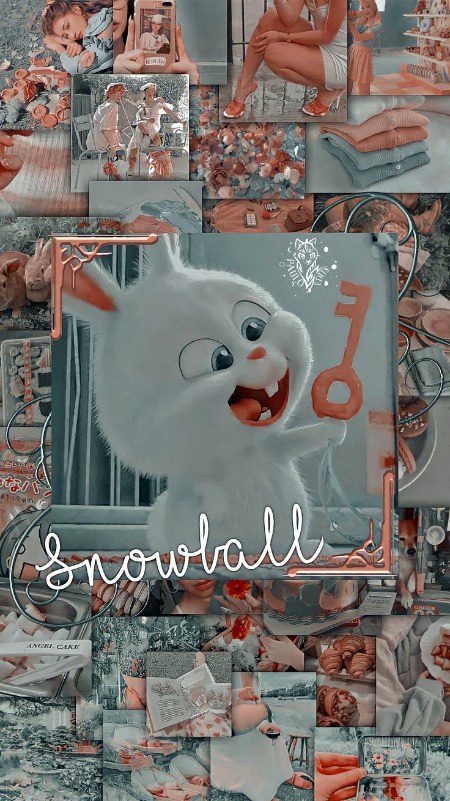 💞💞❣️😎😎💯