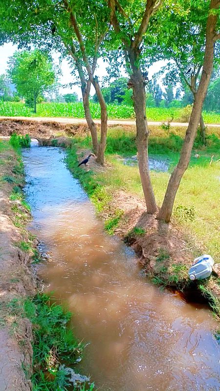 Beautiful Nature image