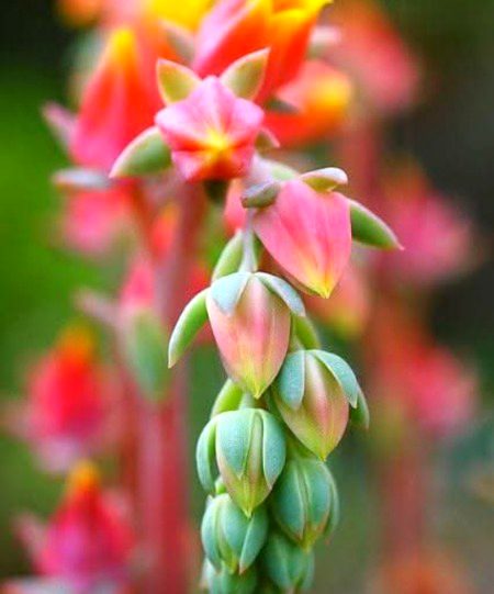 Beautiful Nature image