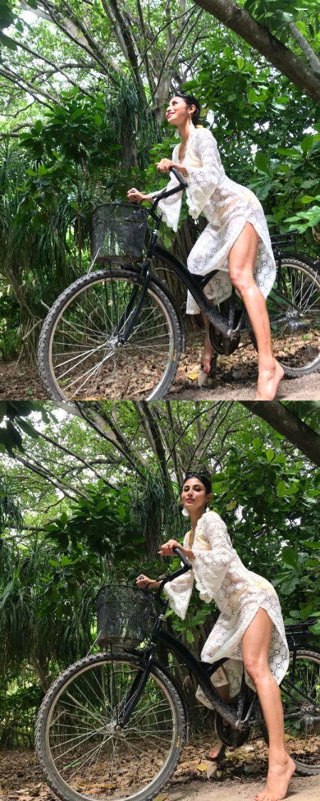 Indian Celebs image