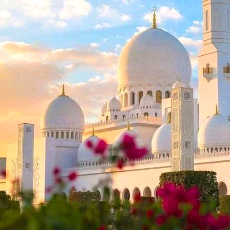 Beautiful Nature image