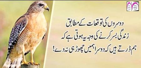 Right🙄🙄🔥🔥