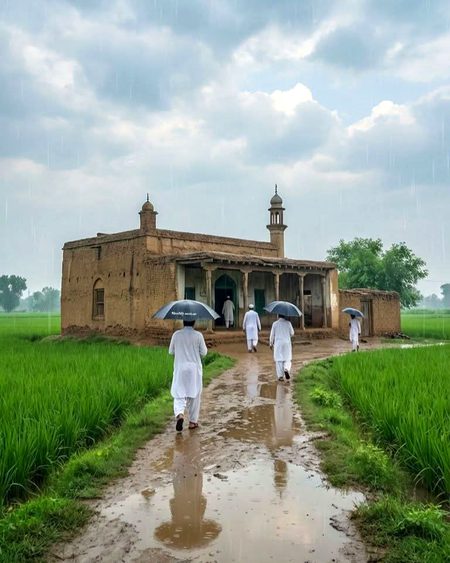 Beautiful Structures image