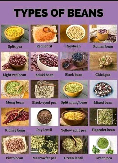 Tips for Students image