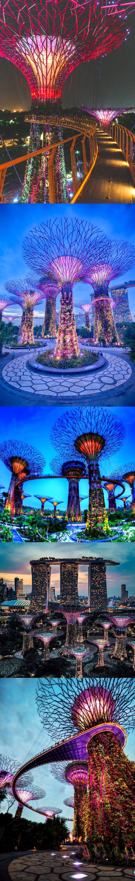 Beautiful Structures image