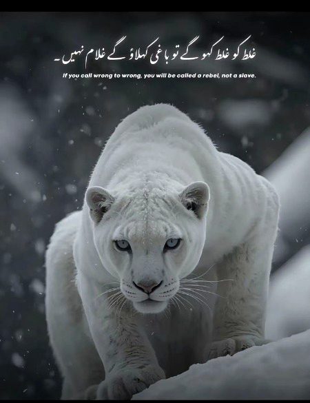 Attitude Quotes image