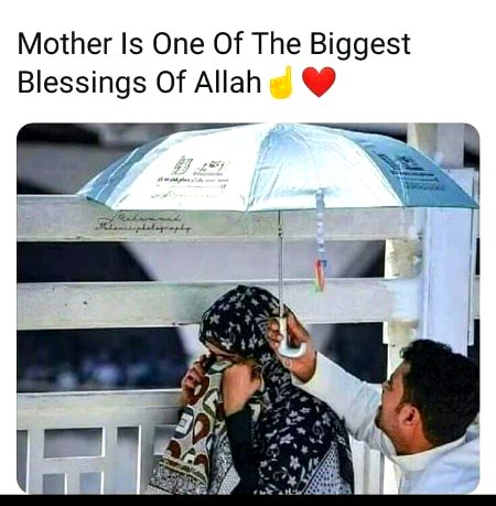 Memes & Satire image