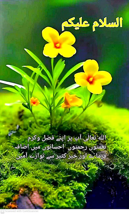 السلام عليكم ورحمة الله وبركاته صباح الخير 💞