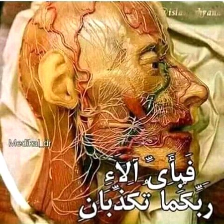 اللہ سے بڑا کوئی سائنسدان نہیں  💖💖