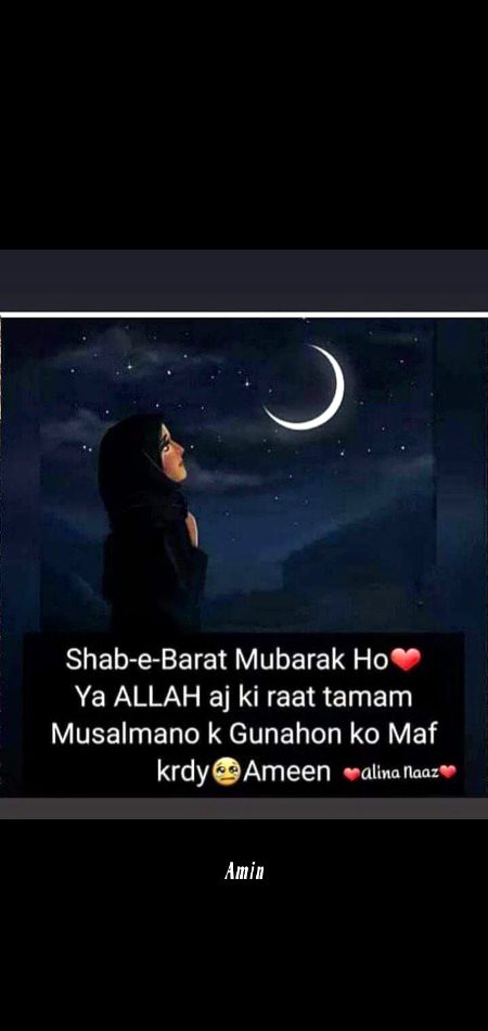 Ameen 
Shahnoor Abbasi