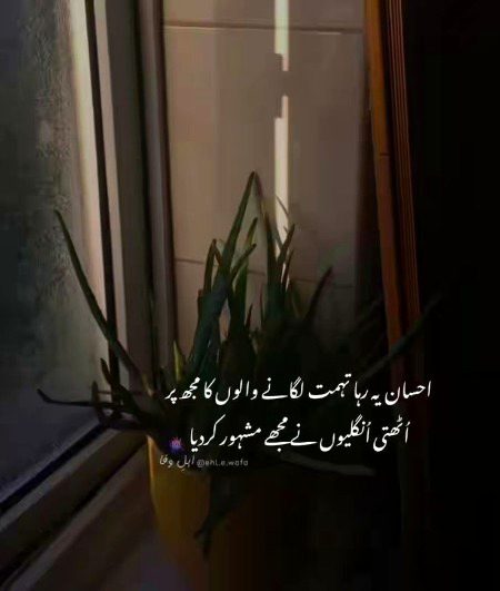 Attitude Poetry image