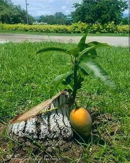 Beautiful Nature image