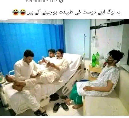 Memes & Satire image