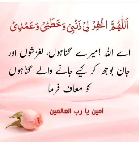 Islamic Quotes image