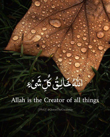Islamic Quotes image
