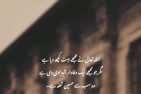 Silent 🤐 Life 🧬.A mere Rab tera shukriya..