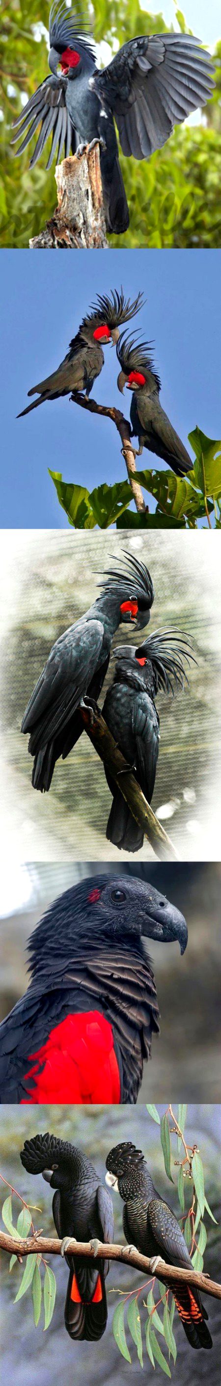 Beautiful Nature image