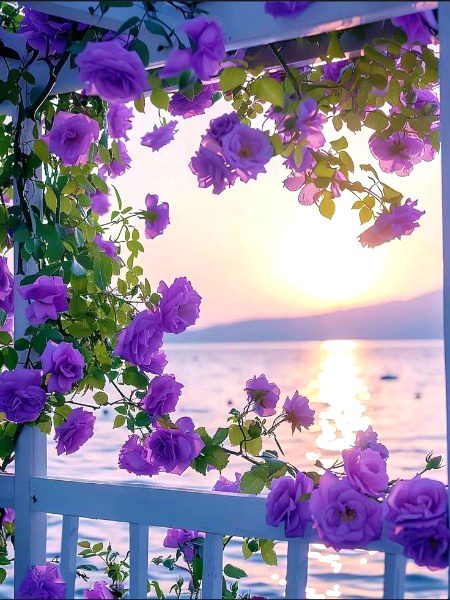 Beautiful Nature image