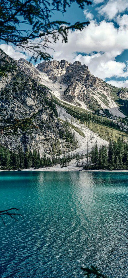 Beautiful Nature image