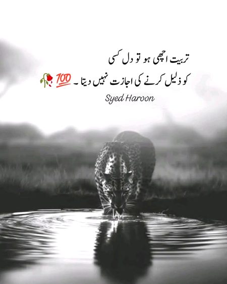 Apki izat Meri izat ha Allah na kare kabhi apko zalil Karun 🌹