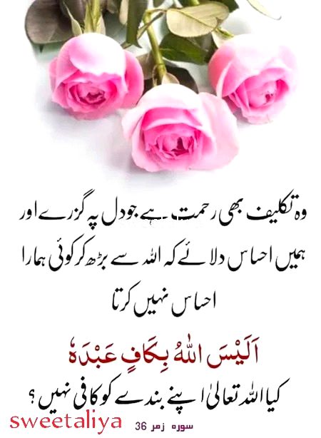 Islamic Quotes image