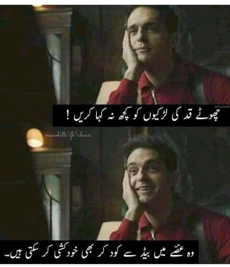 Memes & Satire image