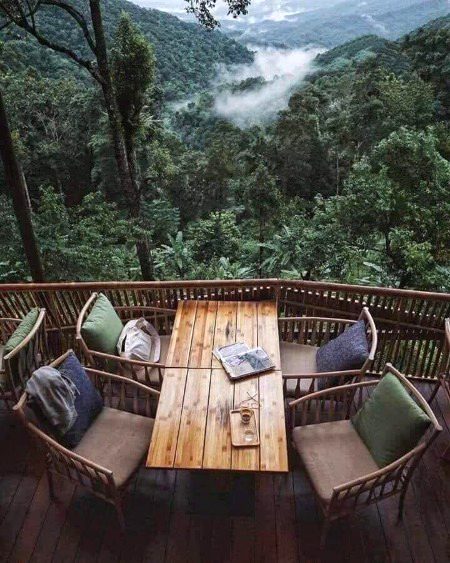 Beautiful Nature image